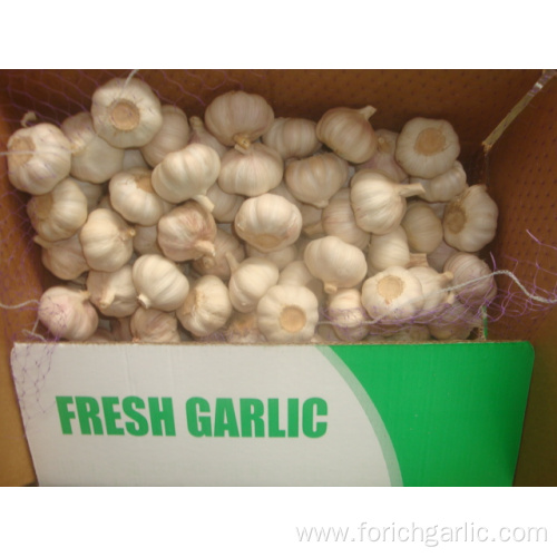 Different Package of Jinxiang Normal White Garlic